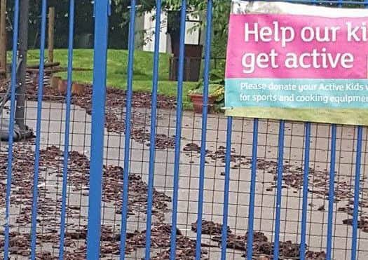 Expensive bark from Ab Kettleby Primary School's outdoor trim trail was washed away through the village EMN-160617-134854001