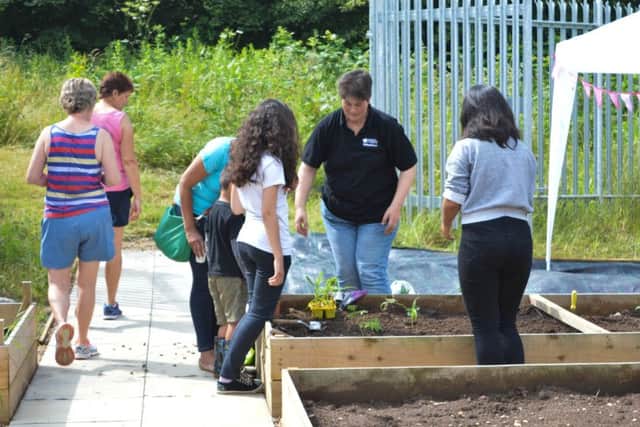 Volunteers help out at Melton Community Allotment Project
PHOTO: Supplied EMN-150721-133702001