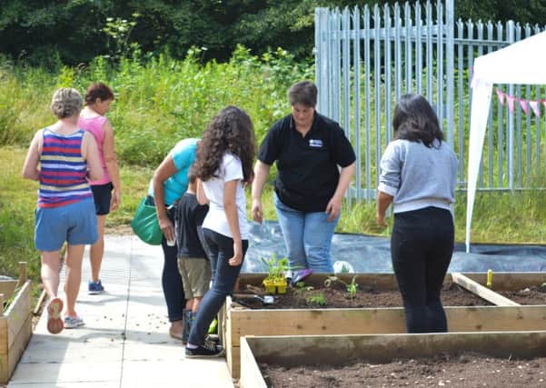 Volunteers help out at Melton Community Allotment Project 
PHOTO: Supplied EMN-150721-133702001