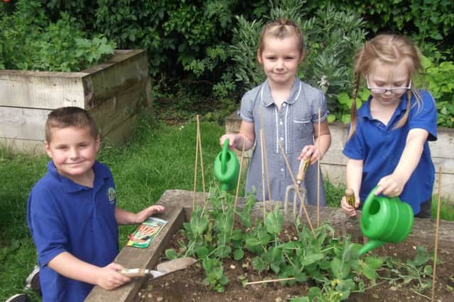 From left are The Grove Primary School pupils Jack Taylor, Scarlett Berridge and Julia-Tia Selvey Cooper EMN-160622-142448001