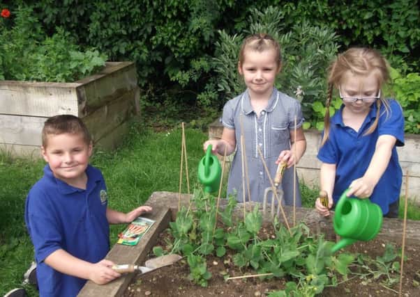 From left are The Grove Primary School pupils Jack Taylor, Scarlett Berridge and Julia-Tia Selvey Cooper EMN-160622-142448001