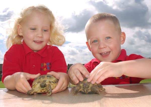 4-year-olds Lola Hollis and Kyran Fuller prepare their Horsefield tortoises Turbo and Sonic for the show 
PHOTO: Tim Williams