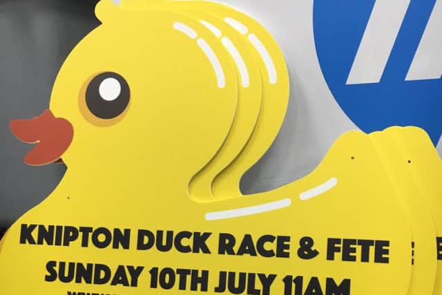 Some of the signs that have been placed around the Vale of Belvoir to advertise Knipton's Duck Races and Fete which take places place on Sunday
PHOTO: Supplied