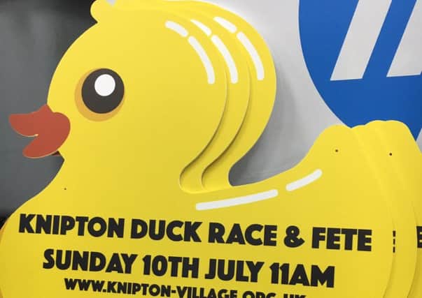 Some of the signs that have been placed around the Vale of Belvoir to advertise Knipton's Duck Races and Fete which take places place on Sunday 
PHOTO: Supplied