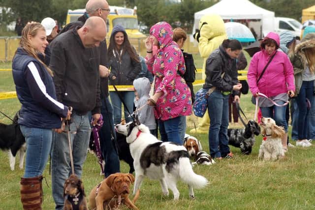 Ready for inspection in the dog show arena PHOTO: Tim Williams