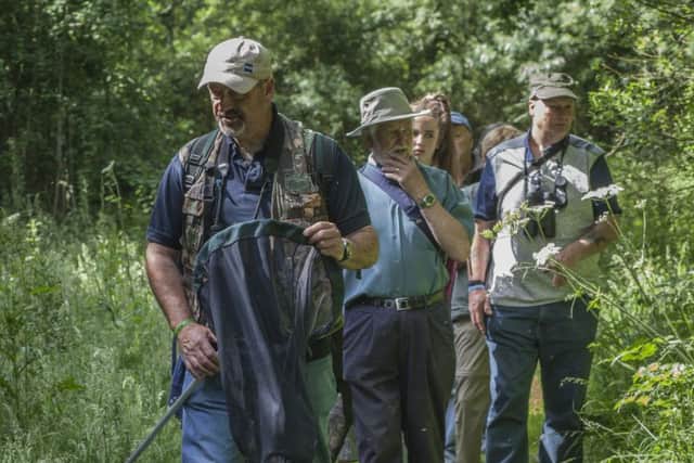 Butterfly spotting
PHOTO: Eric Renno