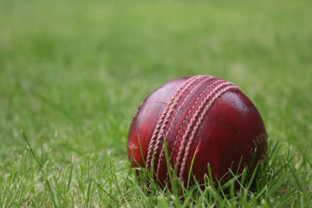 Cricket stock image ENGPNL00120110324141719
