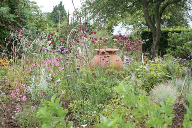 Barnsdale Garden's Winter Borders