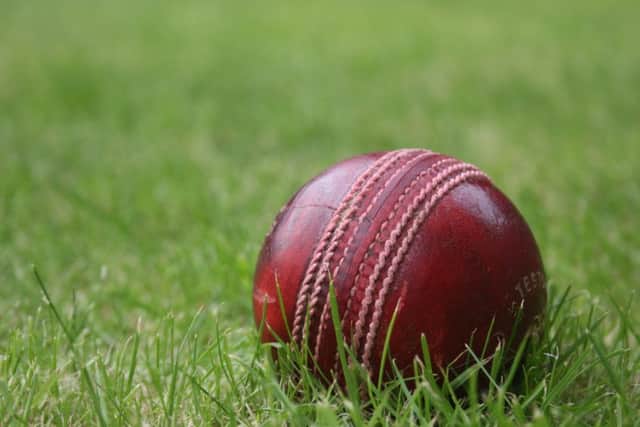 Cricket stock image ENGPNL00120110324141719