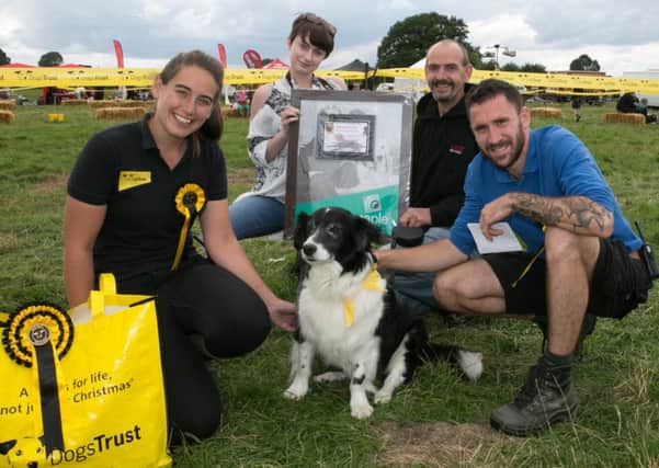 Border Collie, Harvey, won best in show after being judged most handsome dog.' He is pictured with (from left) supporter relations officer Ella Tonge, who one of the judges, Becky Lewis of Captcha Photography, who provided a photo shoot for the winning pooch, proud owner Simon Dennis and Nico Joiner, Dogs Trust training behavior adviser 
PHOTO: Ken Hanrahan-Smith