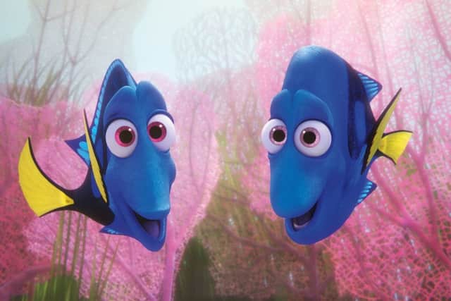 Finding Dory
PHOTO: PA Photo/Disney/Pixar