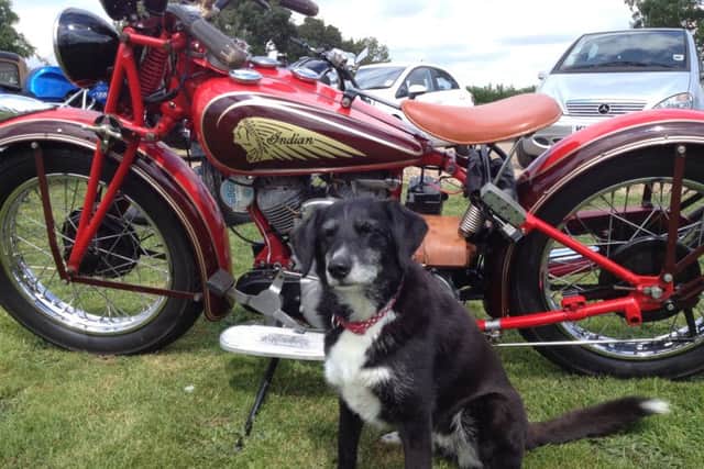 Four-legged assistant Noodle welcomes a fabulous vintage Indian motorbike
PHOTO: Supplied