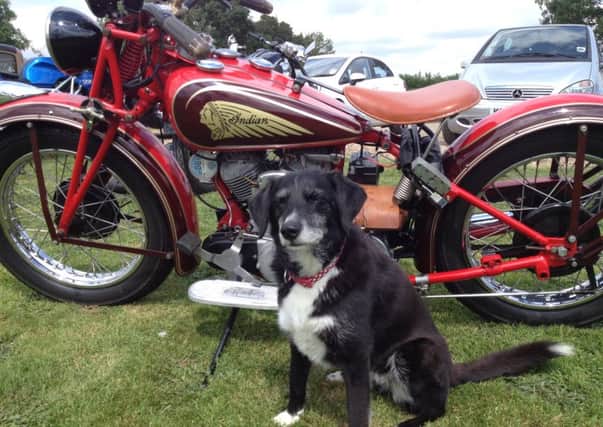 Four-legged assistant Noodle welcomes a fabulous vintage Indian motorbike 
PHOTO: Supplied
