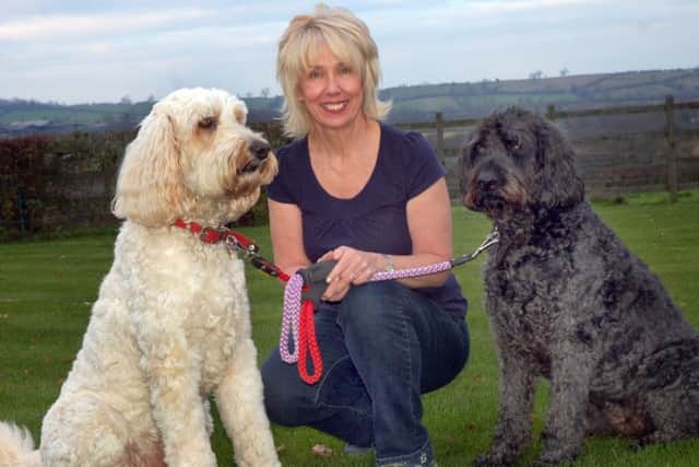 Dog trainer and behaviourist Lynne Marshall with Goldendoodle Teddy and Labradoodle Bonnie EMN-150515-091542001