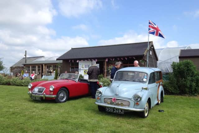 Vintage cars glisten in the sunshine in front of the Old Brickyard Tea Garden PHOTO: Supplied