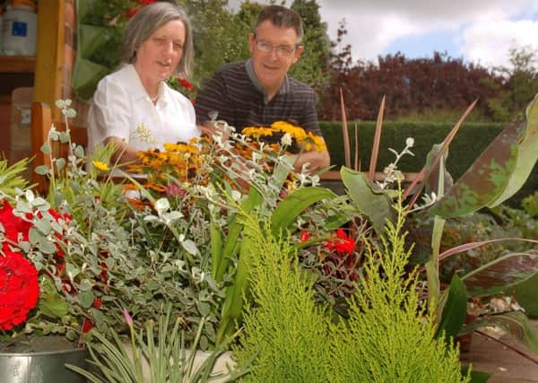 Owner Alison Blythe discusses patio plants with visitor Neville Abbott.