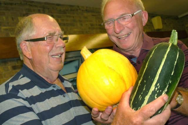 Local newcomers Pete Goodwin and David Hadley study examples of vegetables that impressed the judges
PHOTO: Tim Williams