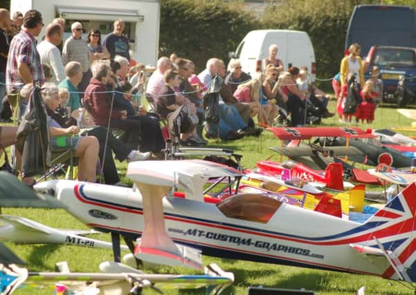 Spectators enjoy the aeronautical antics of model club members PHOTO: Tim Williams