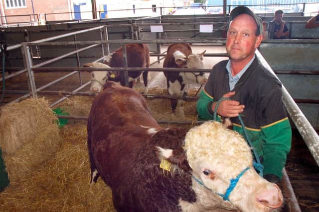 Owen Smith with Clement, his 16 month old Traditional Hereford Bull PHOTO: Tim Williams