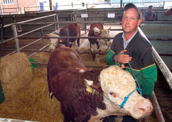 Owen Smith with Clement, his 16 month old Traditional Hereford Bull PHOTO: Tim Williams