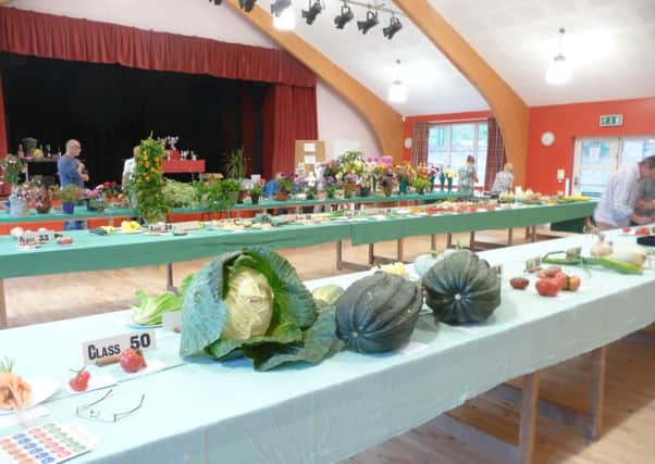 Exhibits on display at the 39th Bottesford horticultural show 
PHOTO: Supplied