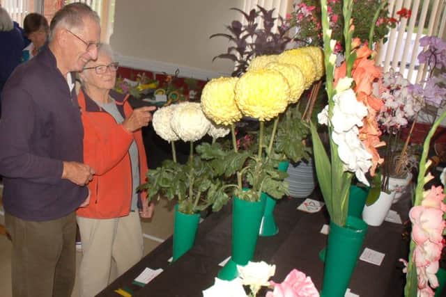 Visitors admire the colourful displays PHOTO: Tim Williams