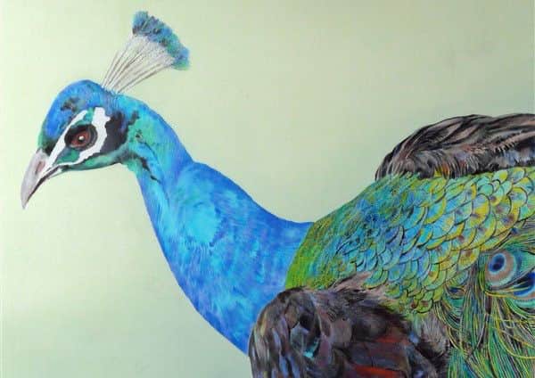 Artwork by Frances Lowe PHOTO: Supplied