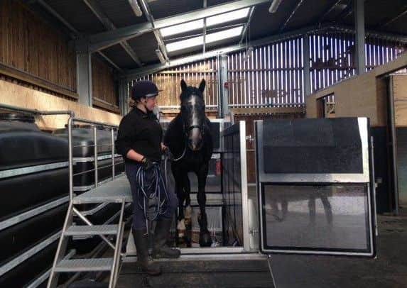 A horse is treated at the state-of-the-art equine rehabilitation facilities at Brooksby Equestrian Centre which are now open to the public EMN-161031-114938001