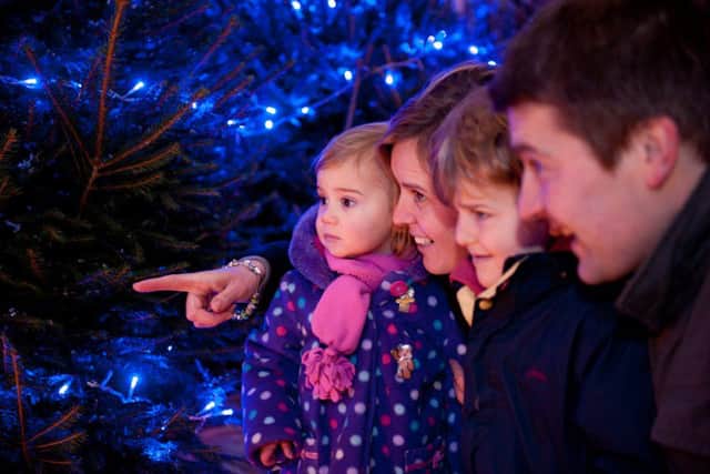 Twinlakes magical winter wonderland PHOTO: Supplied