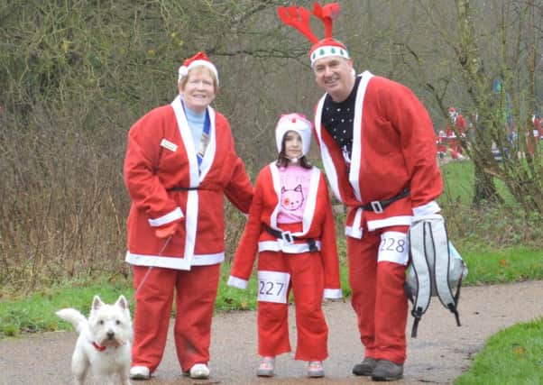 Dog walkers take part in the Melton Santa fun run PHOTO: Supplied