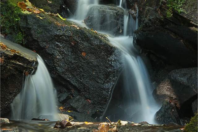 In the gorge by Colin McKinley