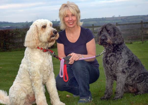 Dog trainer and behaviourist Lynne Marshall with Goldendoodle Teddy and Labradoodle Bonnie EMN-150515-091542001