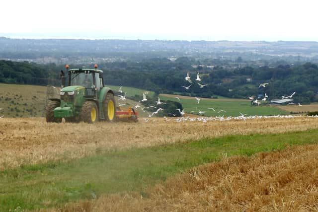 spread your view tractor and gulls from Margaret Bavington
Sitting at the edge of a field having lunch and watching the gulls feeding too at the Windmill in the vicinity of Queen Elizabeth Country Park.
Picture: Margaret Bavington
email: outlook_21EE5ADDD69084CA@outlook.com EMN-161121-123435001