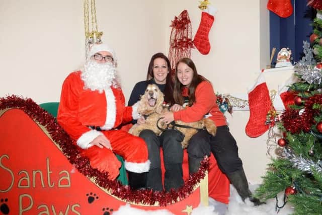 Meet Santa Paws at Dogs Trust's Christmas Fair PHOTO: Supplied