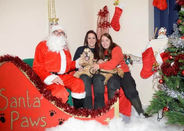 Meet Santa Paws at Dogs Trust's Christmas Fair PHOTO: Supplied