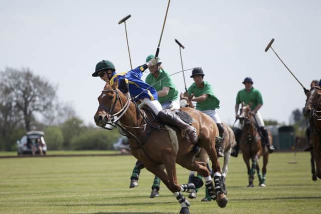 Marcus Speed turned his full focus to polo after a broken neck forced him to give up rugby Picture: Steve Carr Photography EMN-161124-135713002