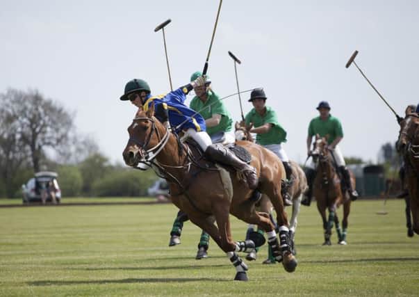 Marcus Speed turned his full focus to polo after a broken neck forced him to give up rugby Picture: Steve Carr Photography EMN-161124-135713002