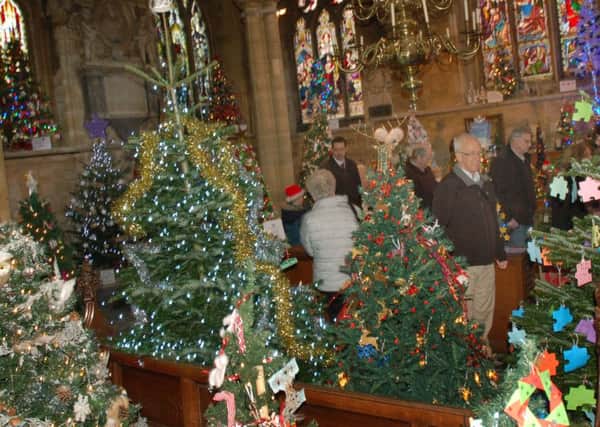 Christmas trees galore in St Mary's Church PHOTO: Tim Williams