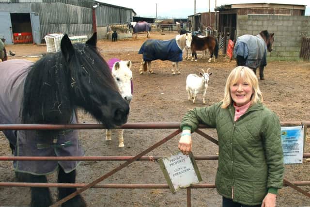 Carole Fielding from Pablo's Horse Sanctuary
PHOTO: Tim Williams EMN-161208-124920001