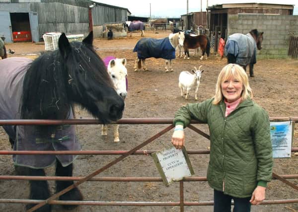 Carole Fielding from Pablo's Horse Sanctuary 
PHOTO: Tim Williams EMN-161208-124920001