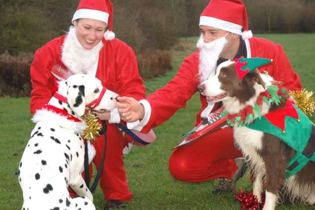 Top dressed dogs on the day were Bongo and Dougal with owners Gemma King and Dan Broad PHOTO: Tim Williams
