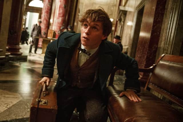 Eddie Redmayne as Newt Scamander PHOTO: PA Photo/Warner Bros