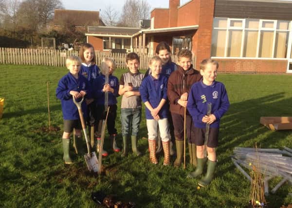 St Peter's School's eco team joined forces with parents to get their hands dirty and plant 50 trees PHOTO: Supplied