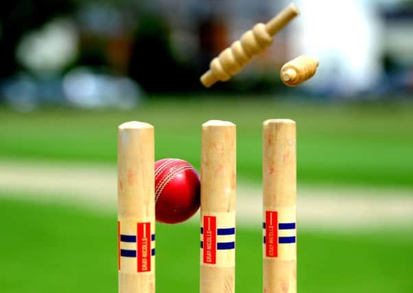 It's time for cricket!