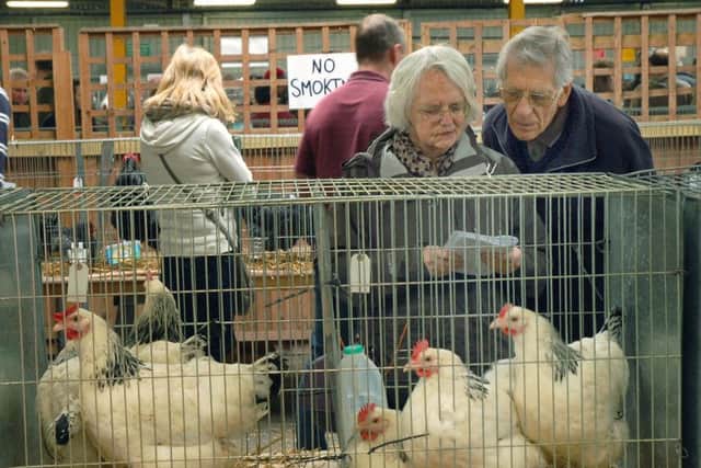 Poultry on show during the Spring rare breeds show, held at Melton Cattle Market EMN-171001-141831001