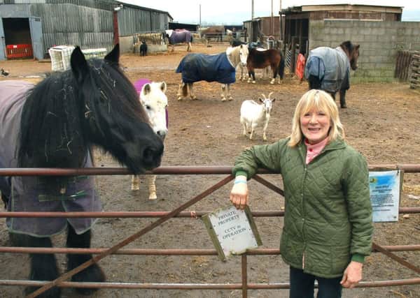 Carole Fielding from Pablo's Horse Sanctuary PHOTO: Tim Williams