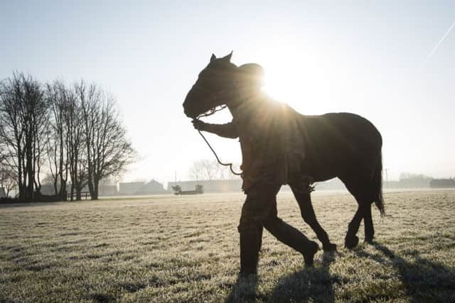 Pictured: A Soldier from The Defence Animal Centre lead the horses from the field to the lorries before being transported back to London. Horses based in London have been at the Defence Animal Centre since November having a well-deserved grass rest from their ceremonial duties. They are now rested and being transported back to HQ London District to be groomed and shod for their build up exercises, ready to start their ceremonial duties. Photographer: Corporal Dek Traylor / MoD Crown EMN-170131-102502001