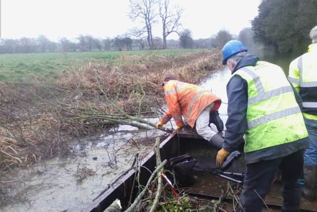 Doris downed tree across river PHOTO: Supplied