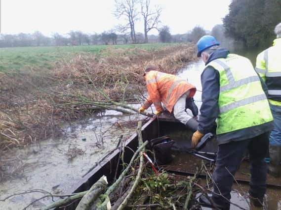 Doris downed tree across river PHOTO: Supplied