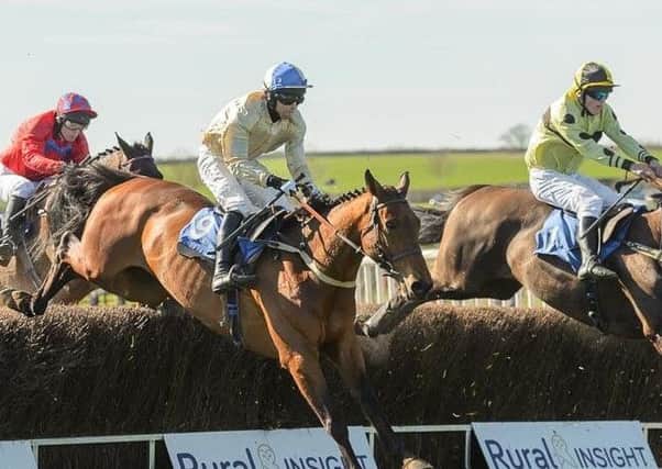 Unbeaten Hazel Hill (centre) leads on the eay to victory in Belvoir meet's feature race Picture: Nico Morgan Photography EMN-170329-095655002
